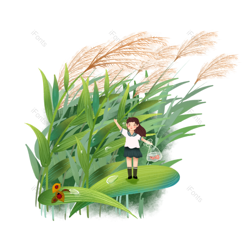 装饰图片,小满元素,秋天PNG,麦子免抠素材